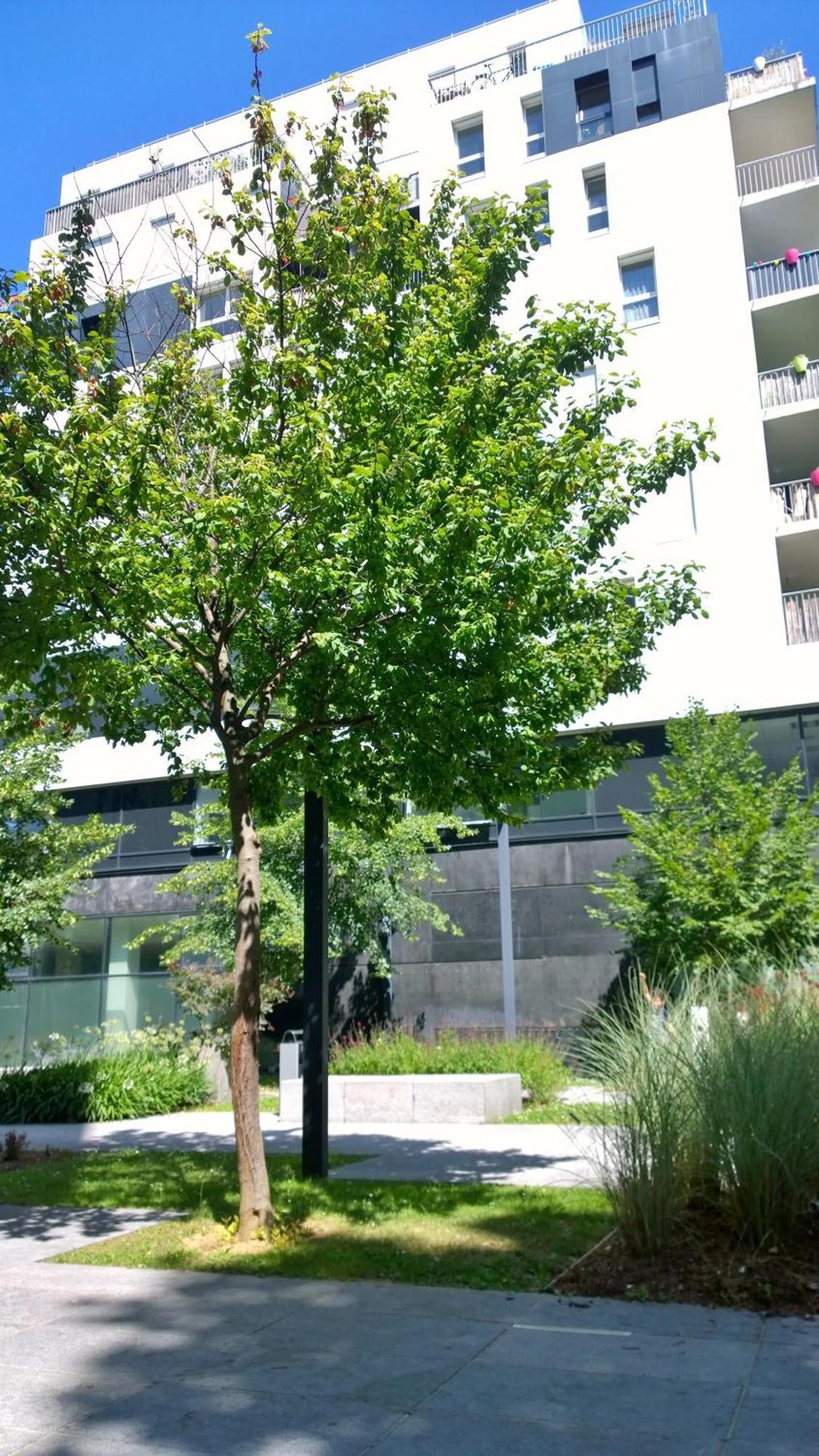 Appartamento Montmartre Chic *
